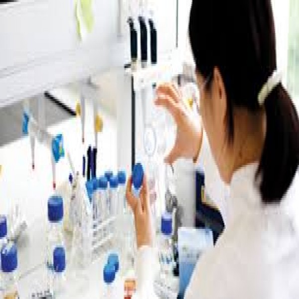 Electrophoresis Reagents