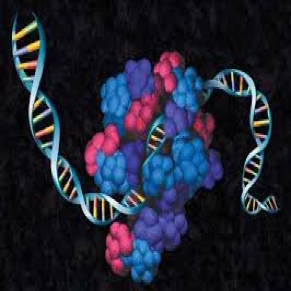 Protein Extraction Systems